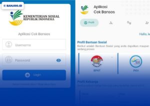 Aplikasi Cek Bansos: Fitur Usul & Sanggah, Cara Daftar DTKS Online, Download Android/iOS
