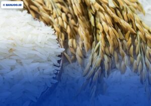 Bapanas: Bansos Beras dan Minyak Goreng November 2025 Mulai Didistribusikan, Cek Penerimanya!