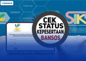Tutorial Cek Desil DTKS via Website & Aplikasi: Cara Lihat Peringkat Kesejahteraan untuk Bansos