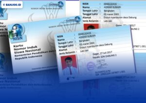 Lupa NISN atau NPSN? Ini Cara Cek Online untuk SNBP dan KIP Kuliah 2026