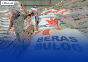 Bansos Beras Bulog Seret! Penyaluran Baru 18%, Penyebab Sebenarnya Akhirnya Terungkap
