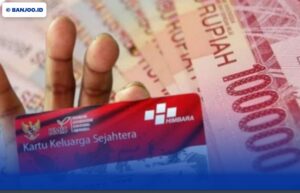 Resmi Kemensos: Cara Daftar Kartu Keluarga Sejahtera 2025 Lewat Aplikasi Cek Bansos & DTKS