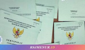 Awas Sengketa! 5 Surat Tanah Ini Wajib Dikonversi Sebelum 2026