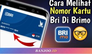 Cara Mengetahui Nomor Kartu Debit BRI Tanpa Lihat Kartu Fisik 2026