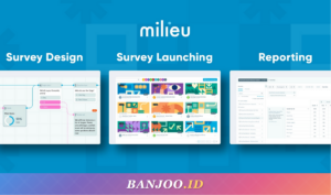 Trik Rahasia Milieu Survey: Cara Tukar Poin Jadi Voucher Alfamart & Indomaret dengan Cepat