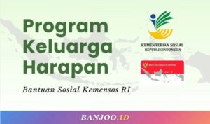 PKH dan BLT Bukan Program yang Sama! Ini Fakta Perbedaannya Menurut Kemensos