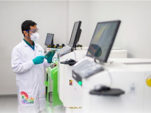 Avian Raih Laba Bersih Rp1,7 Triliun pada 2025, Bagaimana Strategi Mereka?