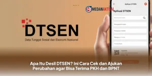 Mengenal Desil DTSEN: Begini Cara Mudah Cek dan Ajukan Perubahan untuk Bisa Dapat PKH dan BPNT!