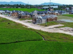 Petani Sumatera Terpukul Hebat Akibat Banjir yang Merendam 94.000 Hektare Sawah Serta Langkah Percepatan Pemulihan Lahan Pertanian