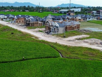 Petani Sumatera Terpukul Hebat Akibat Banjir yang Merendam 94.000 Hektare Sawah Serta Langkah Percepatan Pemulihan Lahan Pertanian