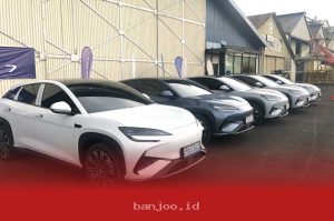 Adopsi Kompor Listrik dan Mobil Ramah Lingkungan Tingkatkan Stabilitas Energi Nasional Hingga 25 Persen