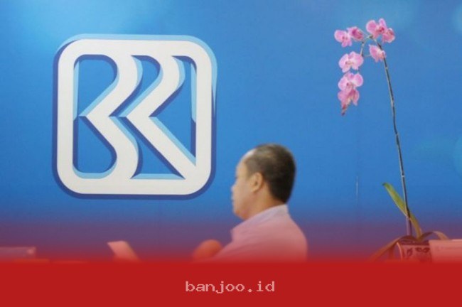 Ajukan KUR BRI 2026 dengan Cicilan Ringan Mulai Rp300 Ribu, Plafon Hingga Rp20 Juta, Begini Cara dan Syaratnya