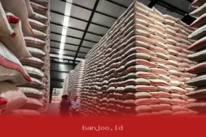 Bansos Beras 20 Kg dan Minyak Goreng 4 Liter Sudah Cair Mulai 13 Maret 2026, Simak Daftar Wilayah Penerima Bantuan Langsung Tunai Ini