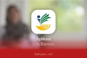 Bansos Tak Cair karena Desil? Ini Dia Cara Mengajukan Perubahan Data yang Benar dan Mudah Dilakukan Sendiri