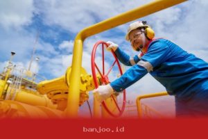 EBITDA PGN Tembus USD971 Juta di Tahun 2025 dengan Pertumbuhan Stabil