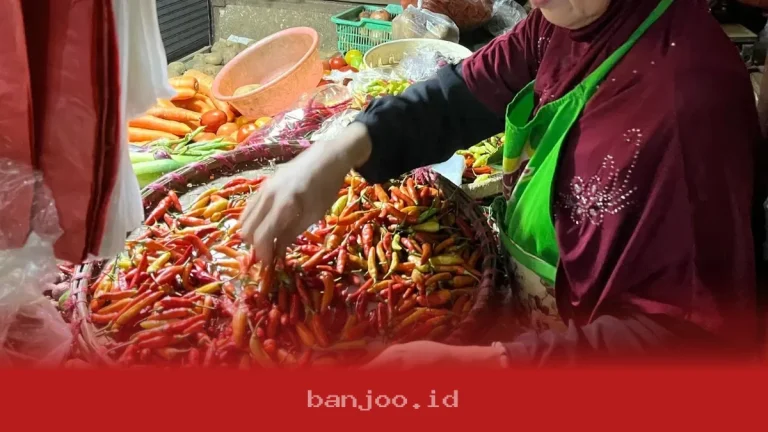 Harga Bahan Pokok 16 Maret 2026 Naik Signifikan, Cabai hingga Minyak Goreng Terpengaruh