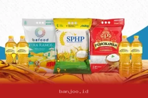 Jadwal Penyaluran Bansos Pangan Tambahan Beras 20 Kg dan Minyak Goreng 4 Liter Telah Ditetapkan Ini Dia Rinciannya