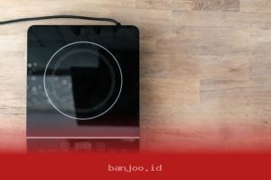 Kompor Listrik 2024 Hemat Energi Hingga 30 Persen di Tengah Krisis Listrik Global