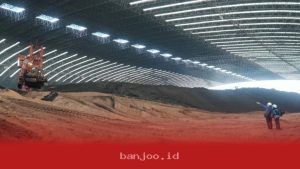 Produksi Energi Bersih Biomassa PLN IP Meningkat 16% Hingga Capai 1.101,59 GWh Tahun Ini