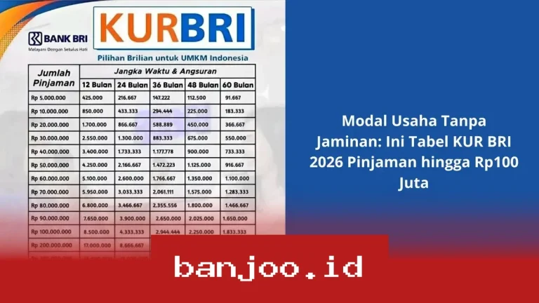 Simulasi Pinjaman KUR BRI Maret 2026 Tanpa Jaminan Hingga Rp100 Juta untuk Pengembangan UMKM