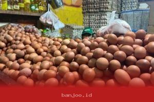 Stok Telur Ayam di Babel Naik 42,6 Ton Menjelang Perayaan Idulfitri Tahun Ini