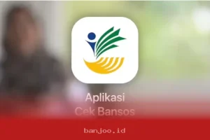 Terungkapnya Kasus Pungli Bansos, Simak 5 Langkah Mudah Ajukan Penurunan Desil Secara Mandiri dan Tanpa Biaya untuk Keluarga yang Masih Memenuhi Syarat