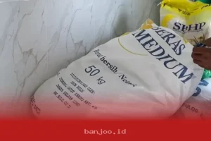 Update Terkini Penyaluran Bansos Tahap Dua 2026 via SIKS NG, Bantuan Beras Cair Hingga Awal April Mendatang