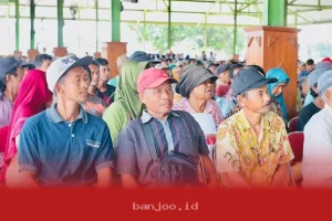 Wilayah 7 Daerah Ini Resmi Dapat Panggilan Bansos Pangan untuk KPM, Pastikan Tempatmu Masuk Daftar