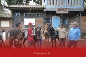 Desa Tugu Selatan Jadi Kampung Koboi, Transformasi Berbasis Potensi Lokal Lewat Program Desa BRILiaN