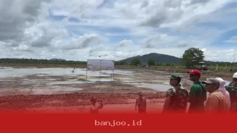 Kementan Luncurkan Gerakan Tanam Serentak di 17 Provinsi untuk Antisipasi Dampak El Nino