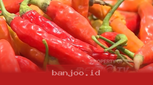 Kenaikan Harga Bahan Pokok di Pasar Tradisional Bandung Capai 15 Persen Selama Sepekan Terakhir