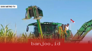 Mentan Dorong Petani Gula Capai Target Bongkar Ratoon di 300.000 Hektare untuk Tingkatkan Produksi Nasional
