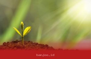 PalmCo Tetapkan Target ESG 2026 dengan Fokus pada Transparansi dan Keberlanjutan Operasional