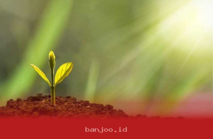 PalmCo Tetapkan Target ESG 2026 dengan Fokus pada Transparansi dan Keberlanjutan Operasional