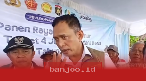 Persiapan 100 Gudang oleh Bulog untuk Menampung 4 Juta Ton Gabah Menuai Antusias Petani