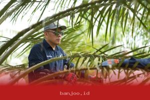 PTPN IV PalmCo Tingkatkan Sistem Deteksi Karhutla dan Terapkan Strategi Agronomi untuk Antisipasi Kemarau Berkepanjangan