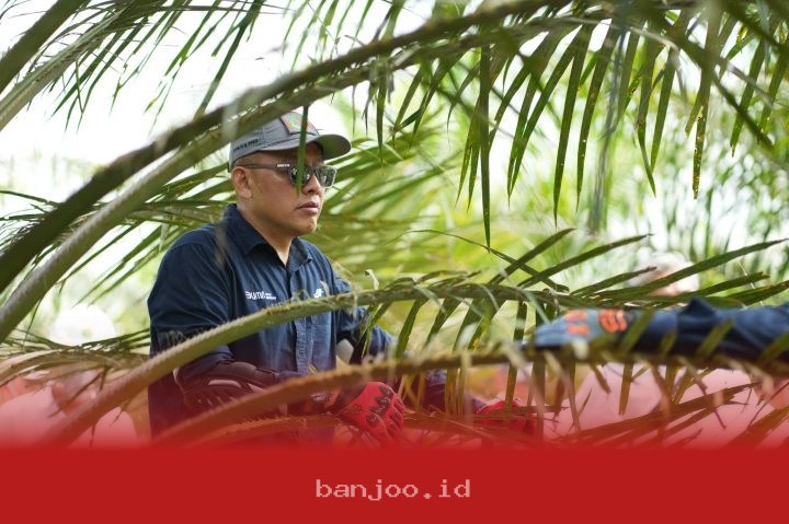 PTPN IV PalmCo Tingkatkan Sistem Deteksi Karhutla dan Terapkan Strategi Agronomi untuk Antisipasi Kemarau Berkepanjangan