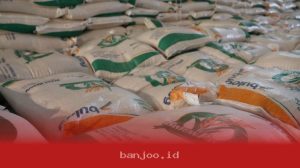 Strategi Bulog Menghadapi Krisis Pangan Akibat Kemarau El Nino yang Berkepanjangan