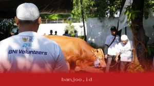 BNI Salurkan 1.200 Hewan Kurban ke Seluruh Wilayah Indonesia dengan Berhasil