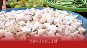Harga Bahan Pokok di Pasar Palmerah Diperiksa Menko Pangan dan Mendag Secara Langsung