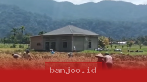 Kementerian Pertanian Genjot Rehabilitasi Lahan Pasca Bencana, 2.020 Hektare Sawah di Sumatera Barat Kembali Dipulihkan untuk Tanam Padi