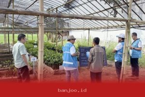 PLN EPI Terapkan Teknologi Digital untuk Pembibitan Mangrove di Cilacap Tahun 2024