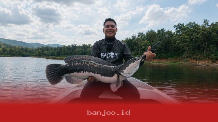 Industri Peralatan Memancing Tumbuh Pesat Berkat Platform Digital Edukasi dan Hiburan yang Menjamur di Tahun 2024 Ini