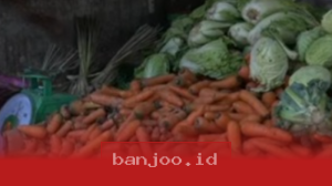 Harga Wortel di Makassar Naik Tajam Jadi Rp14 Ribu/kg Akibat Musim Kemarau Panjang