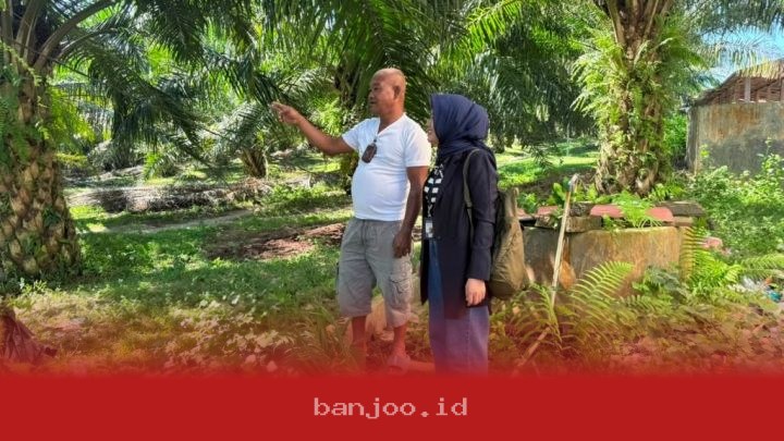 Perjalanan Panjang Mantri BRI dari Medan Hingga Desa Terpencil, Dorong Perkembangan Ekonomi Rakyat di 5 Wilayah Terkini