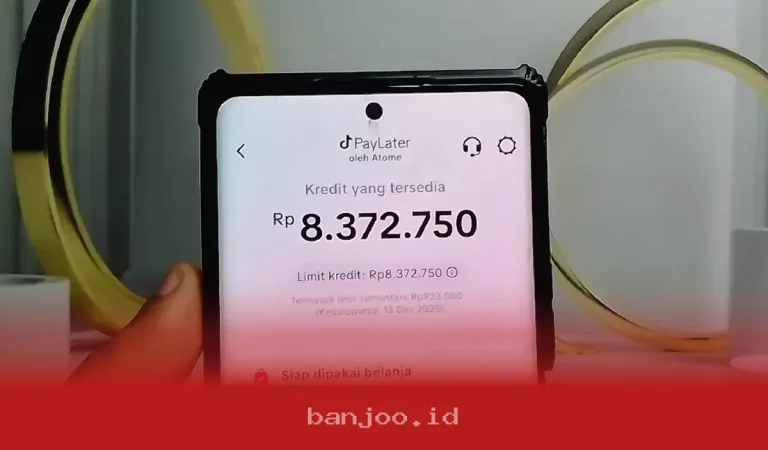 Denda dan Sanksi Menanti Jika Pembayaran TikTok PayLater Lewat dari 6 Hal yang Perlu Diketahui