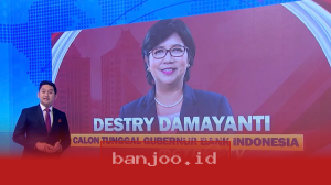 Destry Damayanti Satu-satunya Calon Gubernur BI, Investor Respons Positif 2025