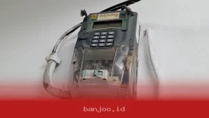 Jadwal Lengkap Promo Tambahan Daya PLN 50 Persen Agustus 2026 Periode Berapa Saja Harga dan Syarat Klaim Terbaru
