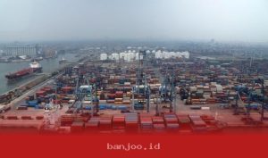 Kadin Dorong Peningkatan Ekspor Produk Pertanian dan UMKM Indonesia ke Pasar Jepang Tahun Ini