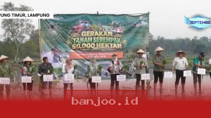 Kementerian Pertanian Dorong Panen Raya di 25 Wilayah, Bidik Produksi 500 Ribu Ton Gabah Tahun Ini